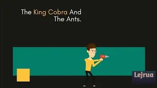 📺The King Cobra and The Ants • Animal Story • Lejrua