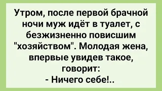 Жена После Брачной Ночи Удивилась, Увидев у Мужа Это! Сборник Смешных Свежих Жизненных Анекдотов!