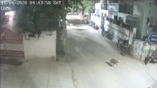 Bike thefts in Chennai CC Camera Footage