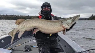 Vertical Jigging Tubes for GIANT Late-Fall Muskie on Lake of The Woods | S14 E20
