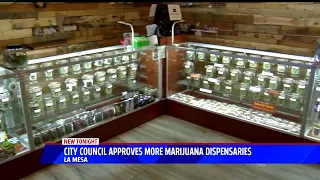 City Council Approves More Marijuana Dispensaries