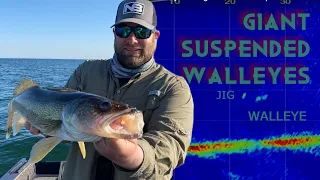 Video Gaming BIG Suspended Walleyes using Garmin Livescope