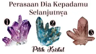 Perasaan dia kepadamu selanjutnya🌞👩‍❤️‍👨🌺| CHARMS & PENDULUM ~timeless~