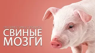 Несовместимые продукты. Свиные мозги