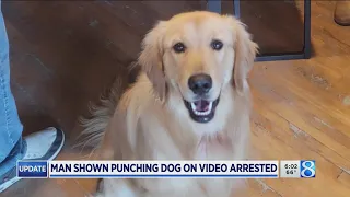 Man charged with animal cruelty after dog punching video