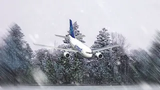 Cockpit Mayhem | Air Transat Flight 211