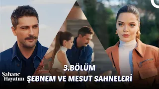 3. Bölüm Şebnem ve Mesut Sahneleri - Şahane Hayatım