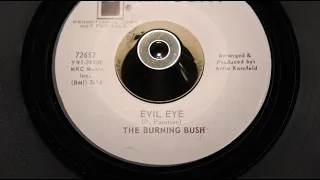 Burning Bush - Evil Eye - Mercury : 72657 DJ (45s)