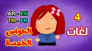 الحواس الخمسة باللغات الأربع ( العربية - الإنجليزية - التركية - الفرنسية ) طيور بيبي Toyor Baby