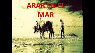 ARAR EN EL MAR