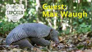 Pangolin to the Pantanal, make your own Luck with Max Waugh