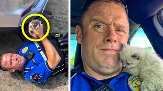 2 Kittens Can’t Get Enough Of Cuddling With Cop Who Rescued Them