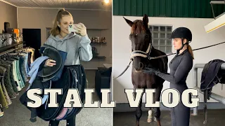 Ich nehme euch mit in den Stall🐴 I Vlog