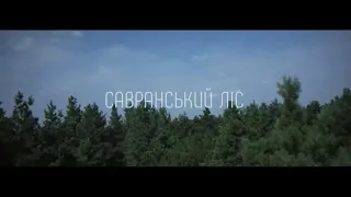 Савранський ліс |Forest| DJI Mavic Mini, DJI Osmo Pocket