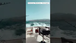 Fishing In Madeira, Portugal