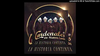Cardenales De Nuevo León Mi Vida Sin Ti