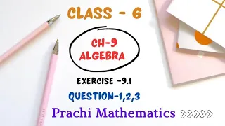 Class 6 | Chapter- 9 | Question - 1,2,3 | Prachi Mathematics | Rsg Education