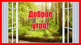 С добрым утром! ДОБРОЕ УТРО! Пожелания с Добрым Утром! ВИДЕО ОТКРЫТКА для друзей