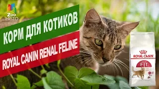 Корм для котиков Royal Canin Fit | Обзор корма для котиков Royal Canin Fit