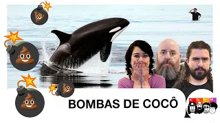 Por que as CACHALOTES estão jogando COCÔ nas ORCAS?