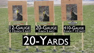 Turkey Gun Comparison- Shooting 20 and 30yds with 410, 20 and 12 gauge