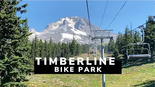 Mountain Biking the Timberline Bike Park on Mt Hood