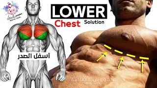 6 BEST EXERCISE LOWER CHEST WORKOUT 🔥