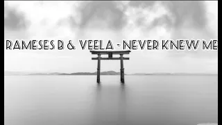 Rameses B & Veela - Never Knew Me