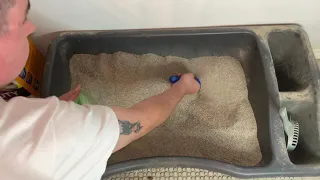 How To Clean Cat Litter Box (Daily)