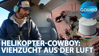 Helden des Outbacks: Der Helikopter Cowboy und seine abenteuerliche Viehzucht in Australien