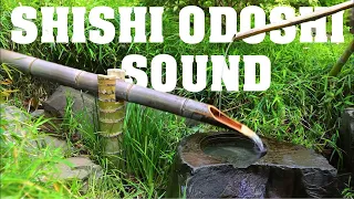 10Hours of Shishi Odoshi Sound in Japanese Zen Garden - Traditional Japanese Bamboo Fountain sound