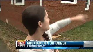 KY Fish & Wildlife Officers Euthanize Mountain Lion