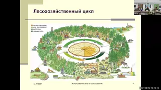 Круглый стол «Передовые практики ответственного лесопользования» Проекты участников премии “Зеленый