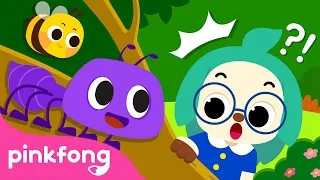 Walking Through Nature | Meet Animals in Nature | Song for Preschool Kids | Pinkfong