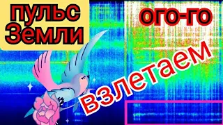 Мощные всплески на графике Резонанса Шумана , частота 14герц удивила обзор графиков 1.03 и 2.03.2022