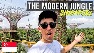 First Impressions of Singapore 🇸🇬