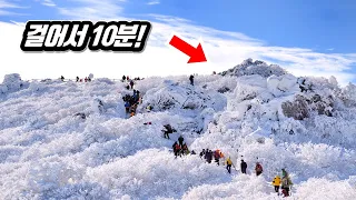 최소 등산, 최대 만족!  ❄️ 국내 최고의 설경은 이곳 입니다 | 🚍당일치기 대중교통 여행코스 6 | Best Winter mountain Snow View in Korea