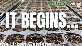 I Just Can't Believe It! | Garden journal 2024