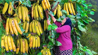 Lots of Harvested Fresh Bananas! How to Prepare Delicious Banana Jam?