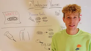 How the Mpox (Monkeypox) Vaccine (Jynneos / Imvanex) Works