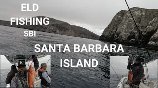 SANTA BARBARA ISLAND - ELD FISHING