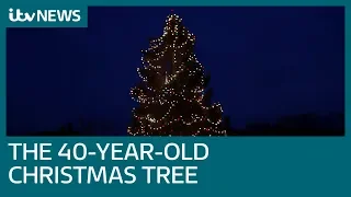 Couple's Christmas tree becomes tourist attraction 40 years later | ITV News