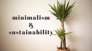 How sustainability can be found in minimalism and make you happy