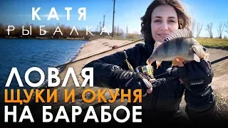 Ловля щуки и окуня на Барабое. Водоём, где пройдёт Чемпионат Украины по береговому спиннингу 2019.