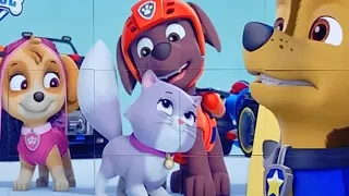 Chase Saves the Royal Kitties | PAW Patrol | Puzzle for kids and for fun | Puzzle Lovers