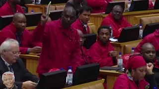 WATCH. Zuma Question Time Starts With Chaos In Parliament.