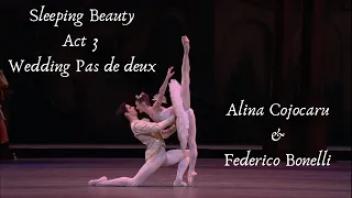 Sleeping Beauty Wedding Pas de deux - Alina Cojocaru & Federico Bonelli