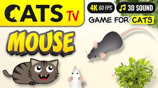 Game For Cats - Best 3D MOUSE 😻📺 4K 🎶 CAT TV [4K] 3 hours