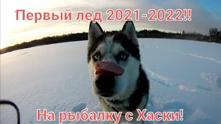 ПЕРВЫЙ ЛЕД 2021-2022!!!! НА РЫБАЛКУ С СИБИРСКИМ ХАСКИ!!Открытие сезона твёрдой воды..