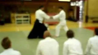 FREEK teaching aikido in EPE(netherlands)
